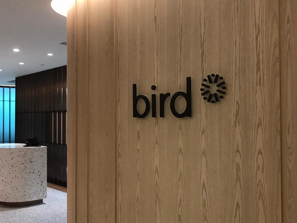 Bird Meditation